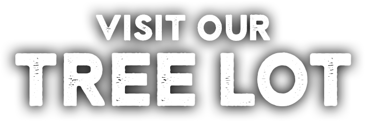 Find Out More - Graphic Design (861x360), Png Download