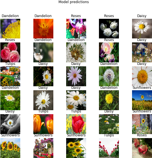 Export Your Model - African Daisy (574x585), Png Download