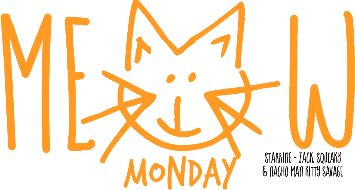 Pictures Of Cute Cats To Start Off Your Week (1200x630), Png Download