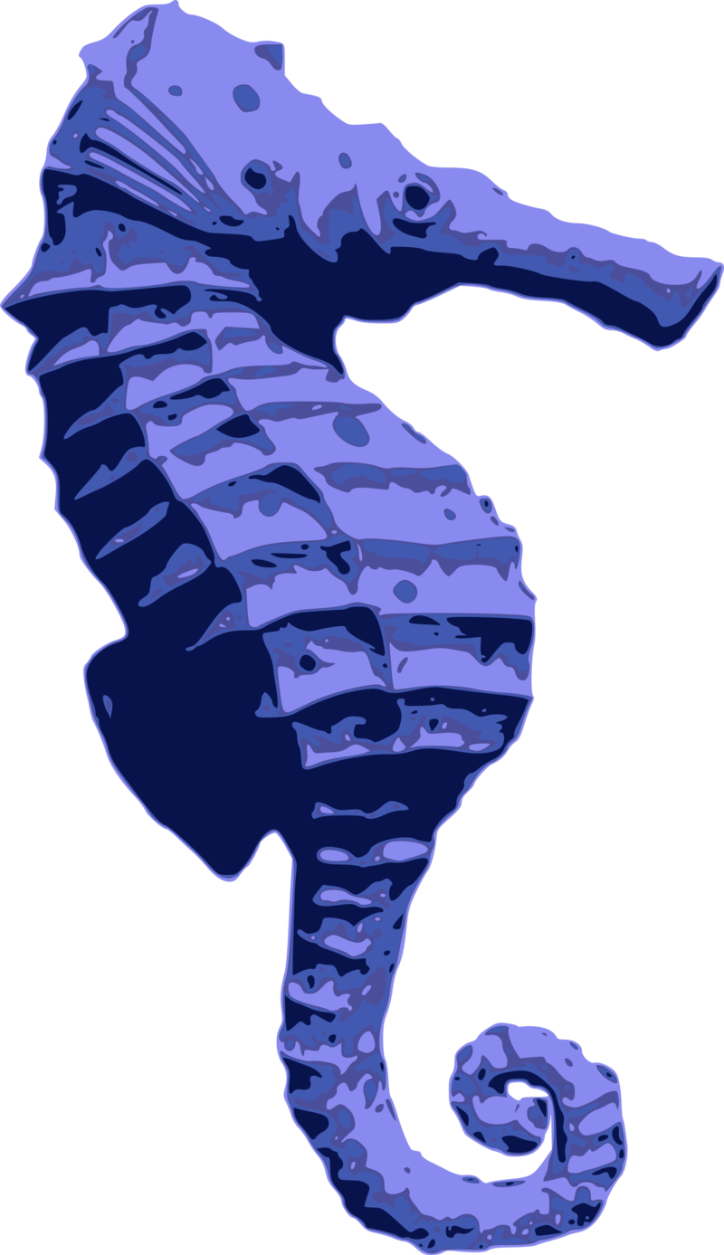 Blue Seahorse - Seahorse (800x1387), Png Download