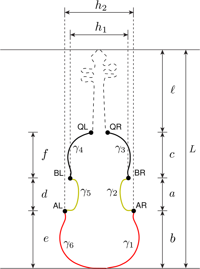 Dashed Line In The Violin Contour Represents The Part - Diagram (676x917), Png Download