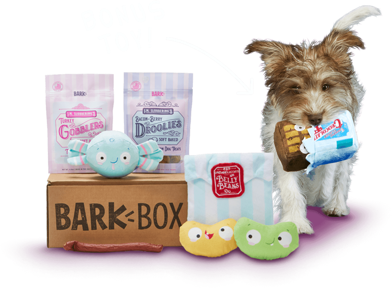 Barkbox, A Monthly Box Of Dog Goodies Starting At $22 - Yorkshire Terrier (1378x990), Png Download