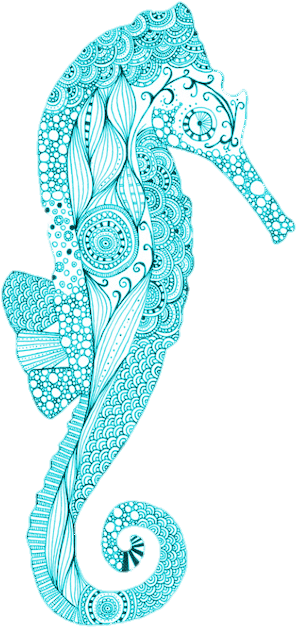 369 Images About S W E E T S E A On We Heart It - Northern Seahorse (500x663), Png Download