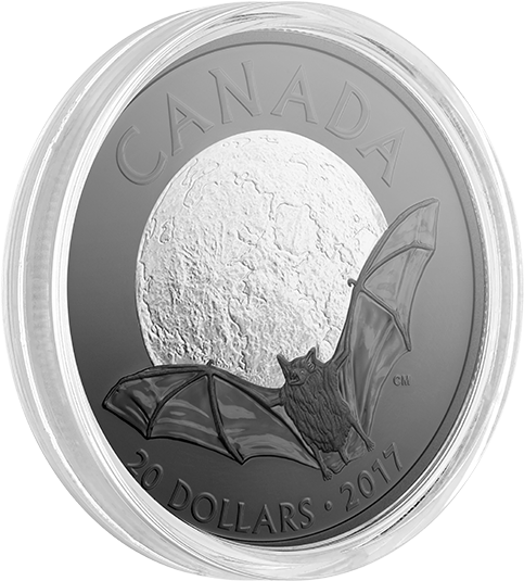 2017 Canada $20 Brown Bat - Quarter (570x570), Png Download