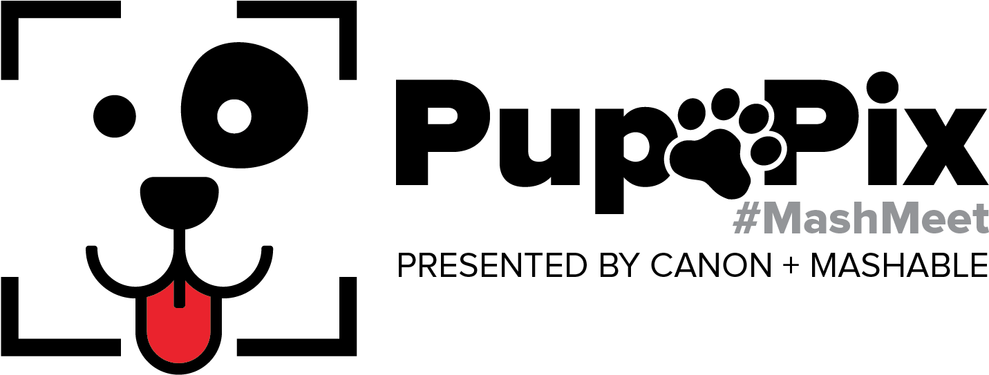 Pup Pix - Michigan College Of Engineering (3000x900), Png Download