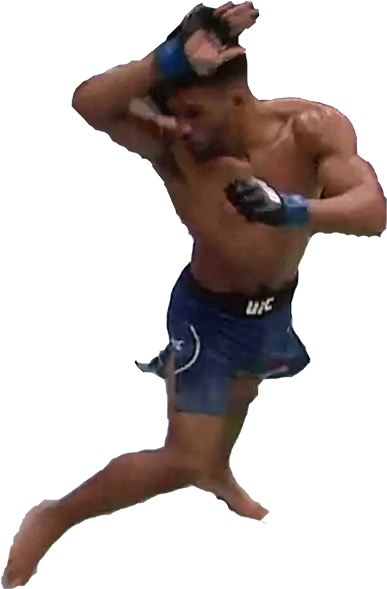 [ Img] - Sumo (850x1050), Png Download