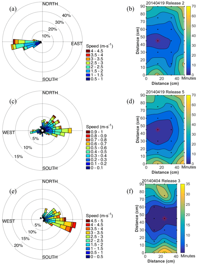 Download - Circle (850x886), Png Download