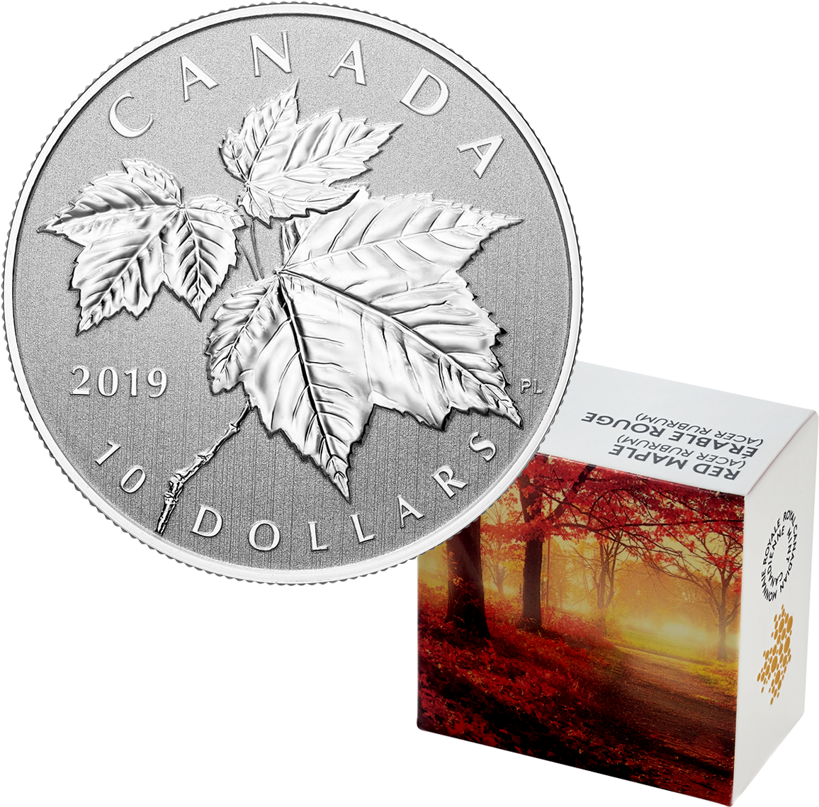 2019 1/2 Oz Canada Maple Leaf - Silver Coin (1198x1166), Png Download