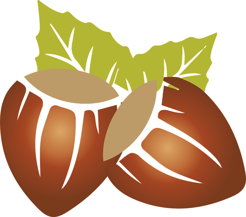 Hazelnut Clipart Brown Fruit - Frutos Secos Png (816x720), Png Download