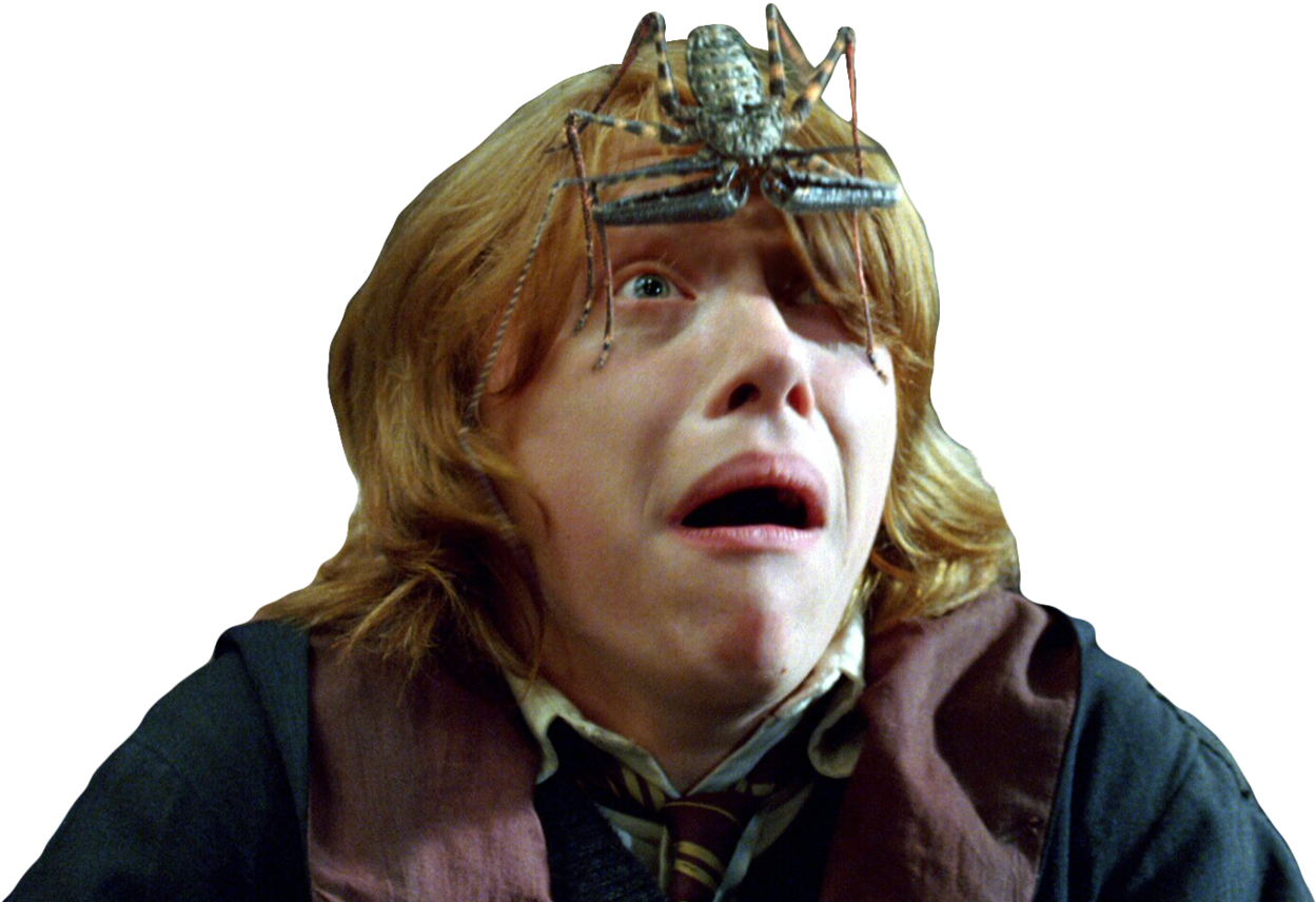 Transparent Ron Weasley (1280x889), Png Download