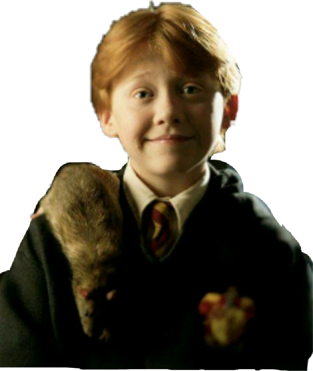 Ronweasley Weasley Red Mouse Harrypotter - Scabbers Harry Potter (1024x1214), Png Download