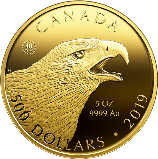 169472 Rev-570 - 2019 Gold Coin (570x570), Png Download