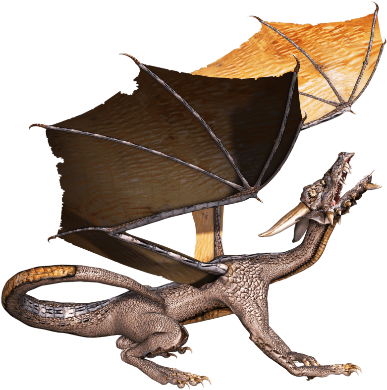 Free Png Download Dragon Head Up Png Images Background - Dragon (850x815), Png Download