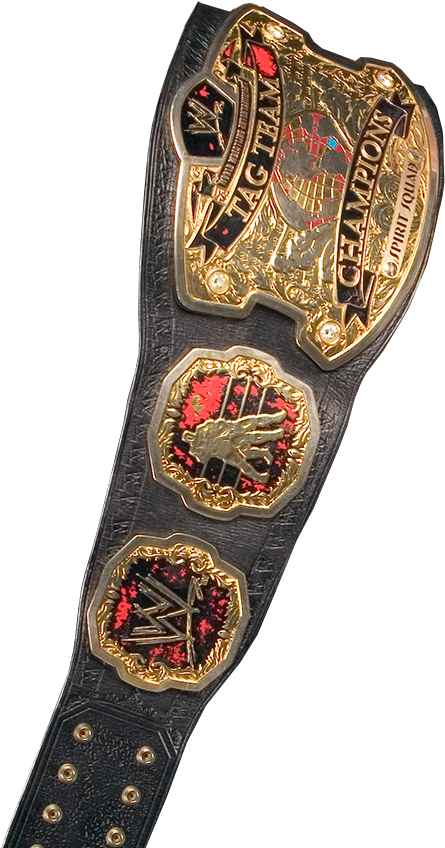 528 X 880 3 - World Tag Team Championship Png (528x880), Png Download