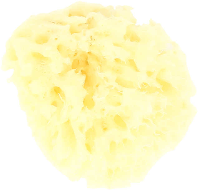 Tap To Expand - Dairy (1200x1200), Png Download