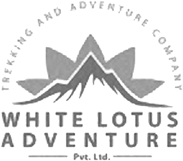 White Lotus - Triangle (800x533), Png Download