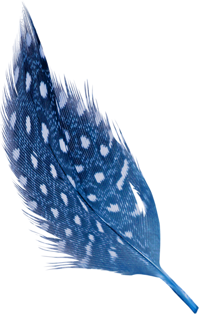 My Passion For Sewing Shades Of Blue, Feathers, Watercolor - Headpiece (650x1024), Png Download