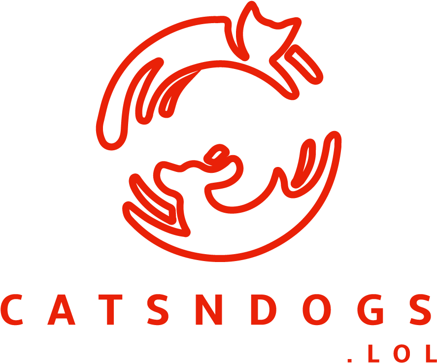 Catsndogs Logo - Graphic Design (2000x800), Png Download