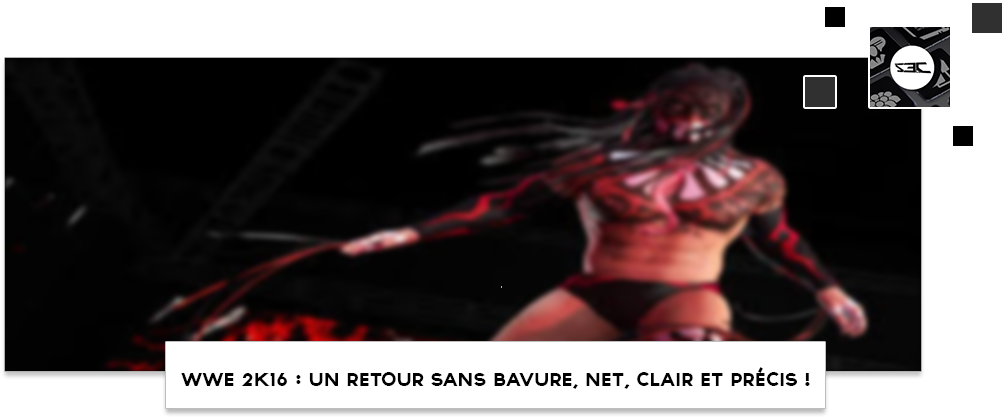 Wwe 2k16 - Superhero (1001x426), Png Download