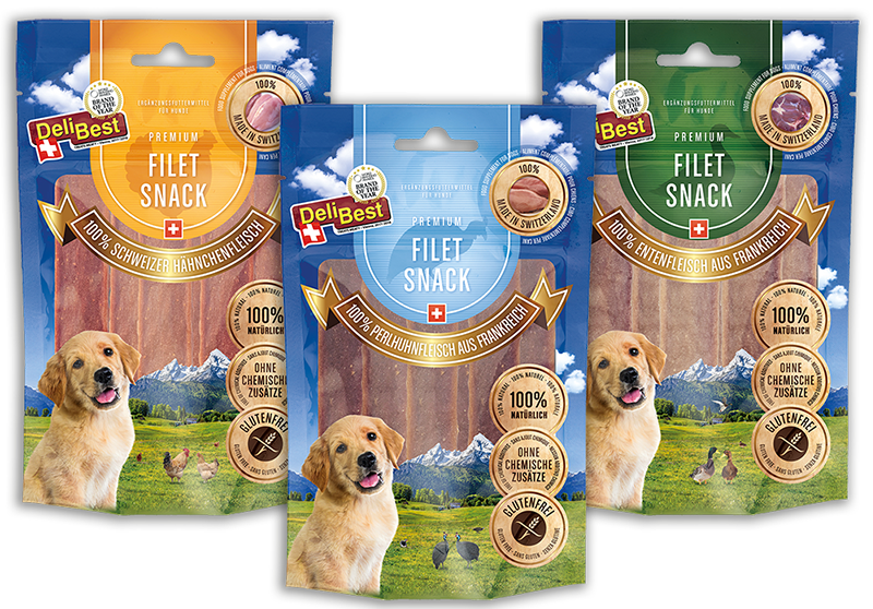 Filet Snacks Are Available In 3 Delicious Varieties, - Golden Retriever (800x558), Png Download