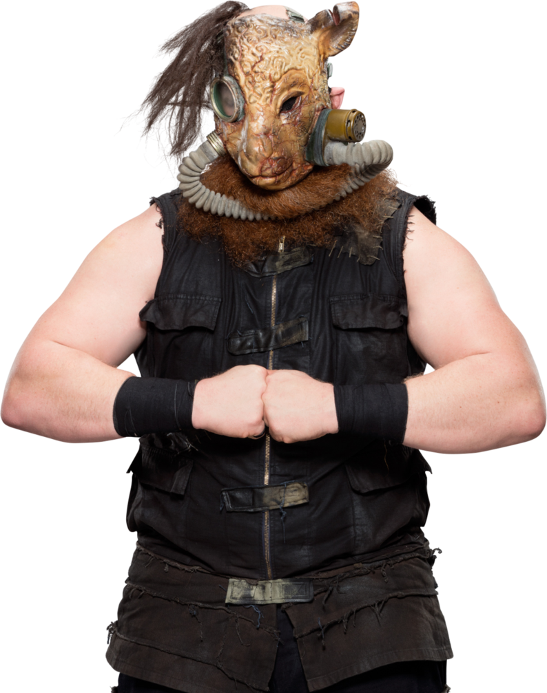 Erick Rowan Png - Erick Rowan 2017 Png (794x1007), Png Download