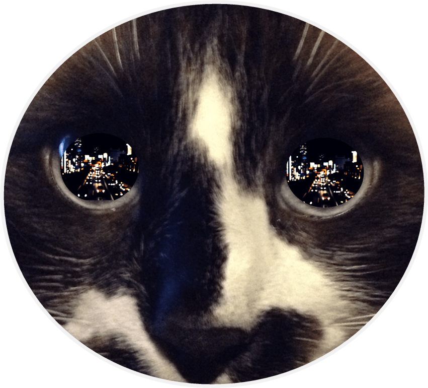Free Png Download Reflection In Cat's Eye Png Images - Cat Eyes Reflection (851x770), Png Download