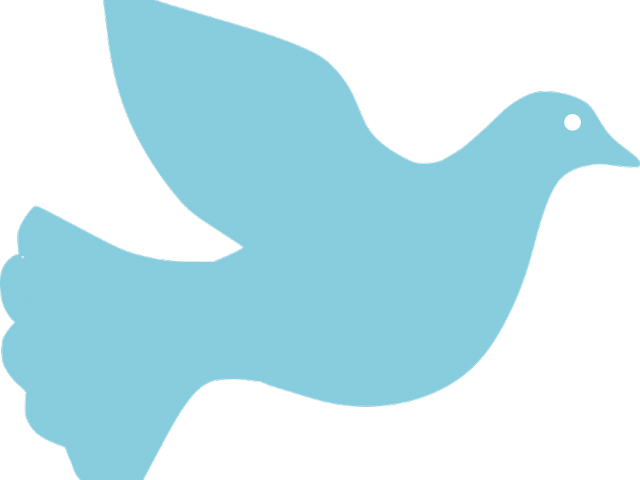 Peace Dove Clipart Blue Dove - Dove (640x480), Png Download