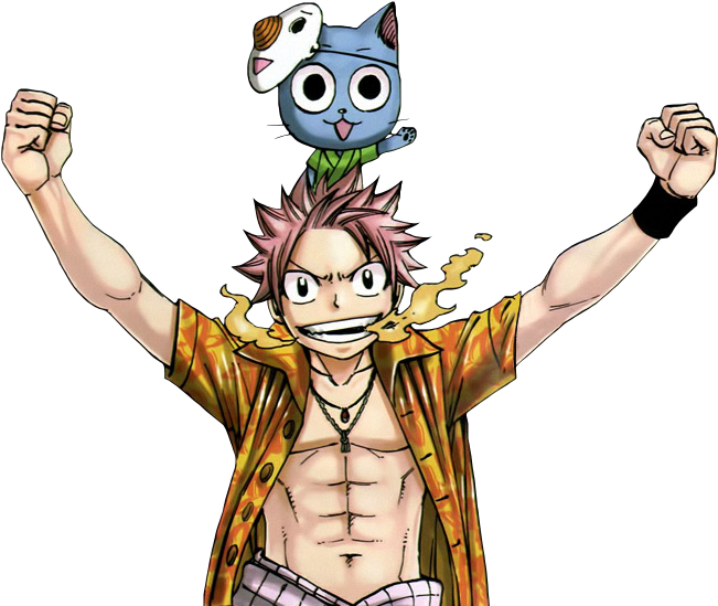 Fairy Tail - Fairy Tail Happy Animes (696x561), Png Download