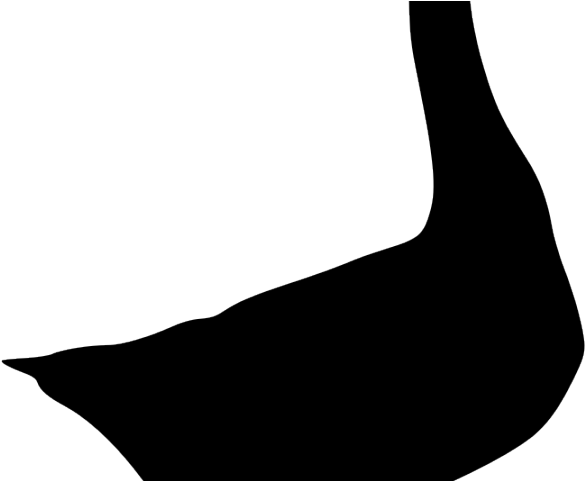 Goose Clipart Grey Goose - Illustration (640x480), Png Download