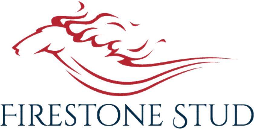 Picture - Business Studies (903x444), Png Download