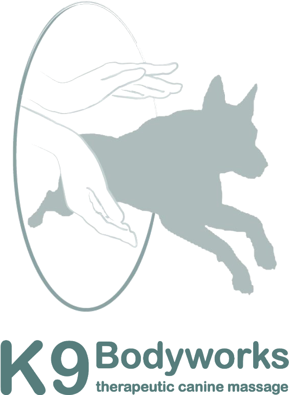 Supporting Partners Devoted To Veterans K9 Partners - Yorky Dogs (800x800), Png Download