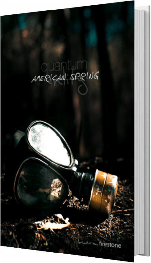 Bruce M Firestone Quantum Entitity American Spring - Poster (1035x840), Png Download