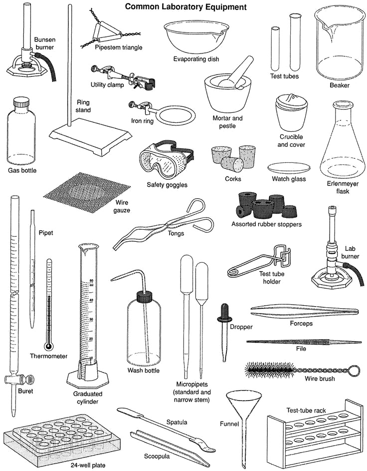 Science Equipments Transparent Image - Laboratory Equipment (736x943), Png Download