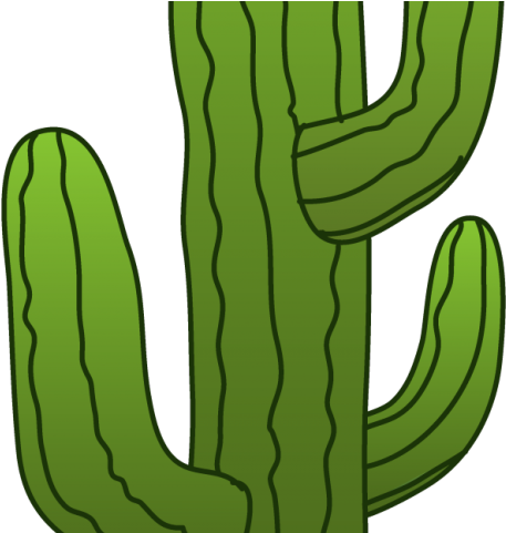Cactus Clipart Mexican - Cactus Clipart Transparent Background (640x480), Png Download