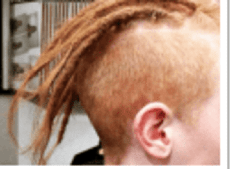 Dreadlocks (800x800), Png Download