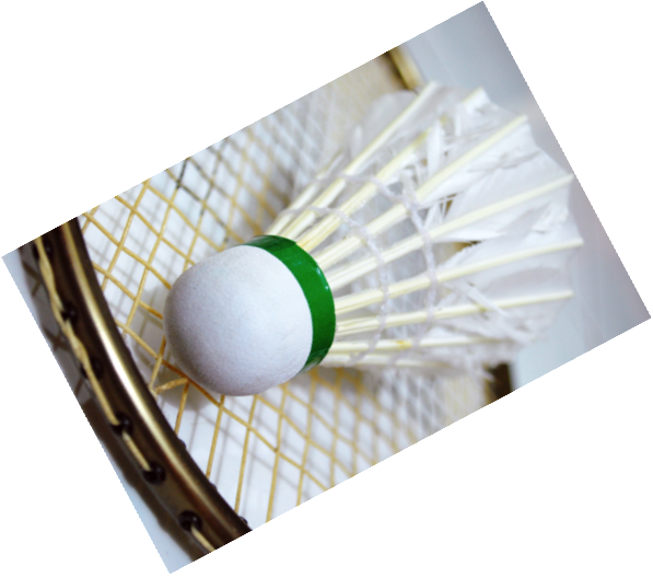 All You Need To Know - Badminton (597x527), Png Download