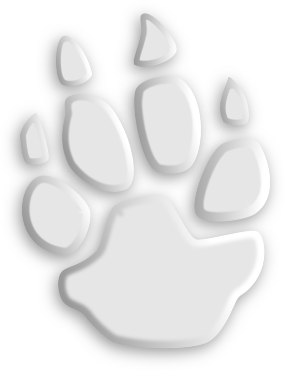 Paw Footprint Cat Computer Icons - Animal Footprints Png White (578x750), Png Download