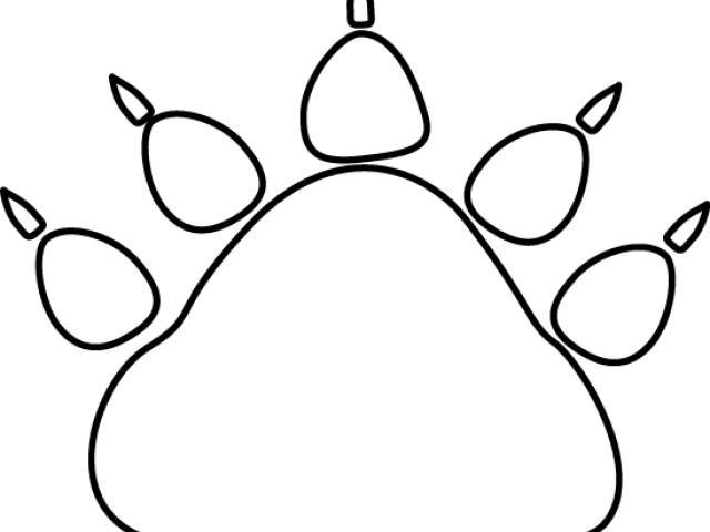White Tiger Clipart Tiger Paw - Paw (640x480), Png Download