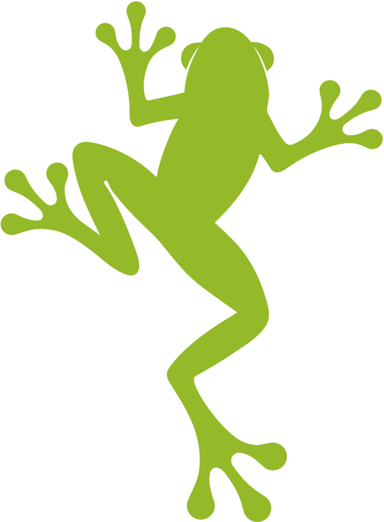 A New Look For Our Frog - True Frog (753x1024), Png Download