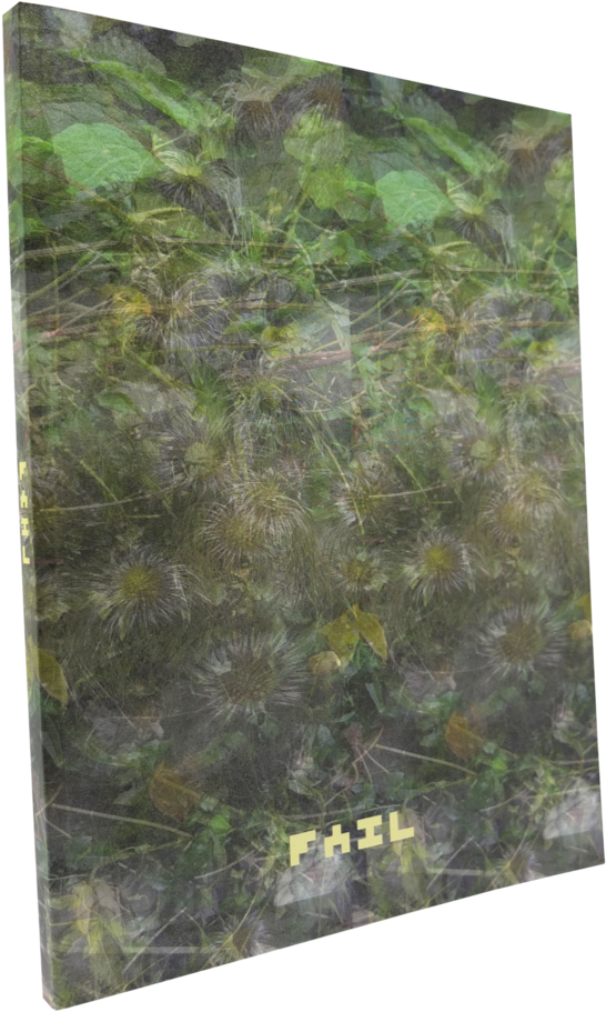 Fail - Painting (824x1100), Png Download