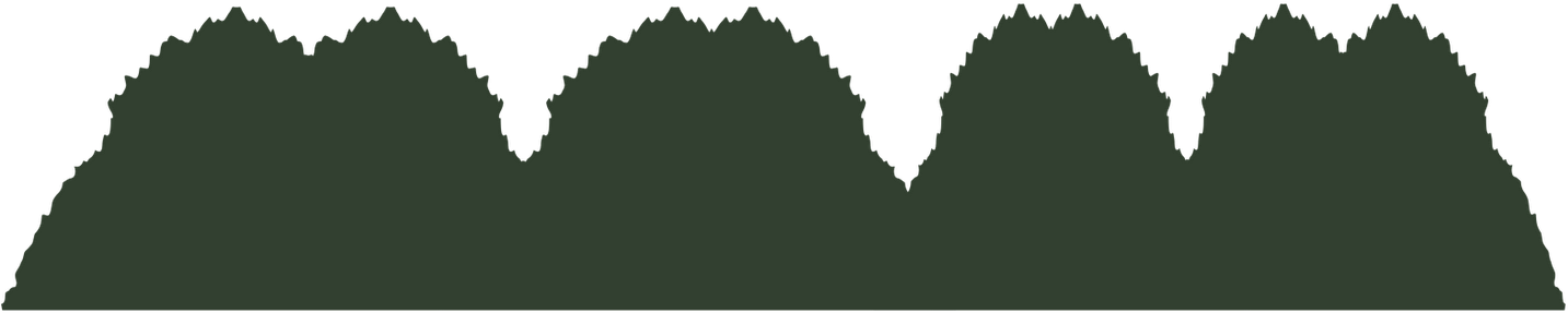 Bush Bg - Illustration (1600x1131), Png Download