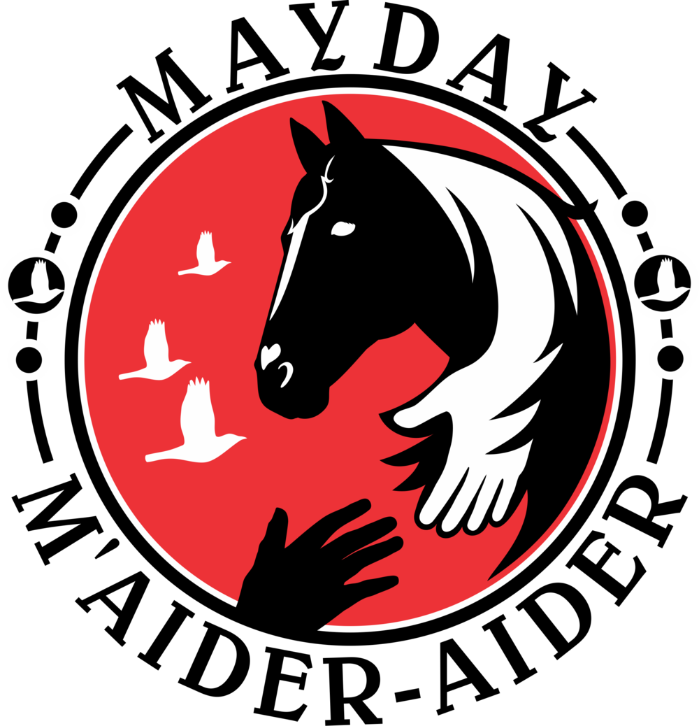 Red Robin F Man (andary - Minori Bento (1000x1038), Png Download