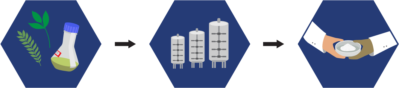 Plant Cell Fermentation Technology - Cylinder (1354x314), Png Download