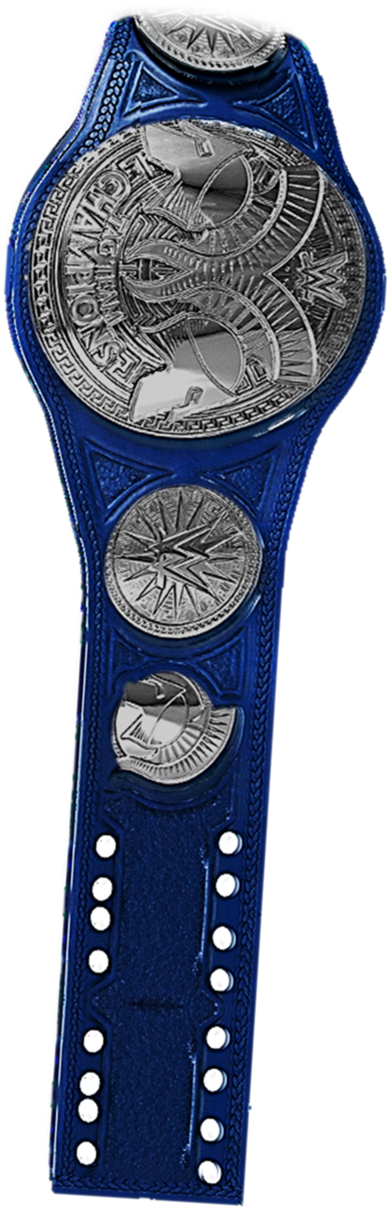 Wwe Belt - Wwe Smackdown Tag Team Championship Png (577x1383), Png Download