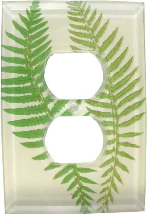 Vintage Fern (800x800), Png Download