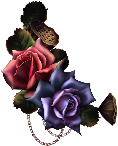 Goth Bouquet - Garden Roses (510x617), Png Download