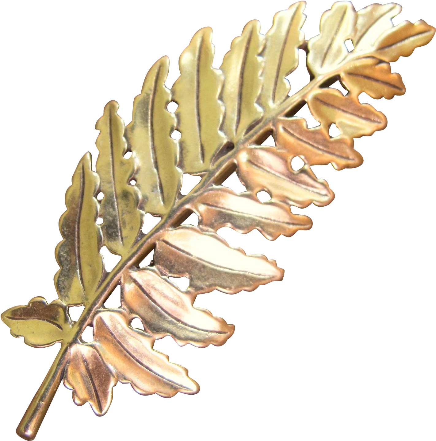 Metropolitan Museum Of Art Fern Leaf Brooch - Pond Pine (1435x1435), Png Download