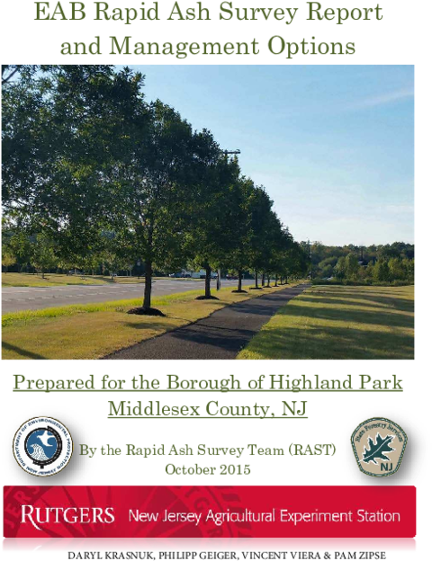 Emerald Ash Borer Survey Report And Management Options - New Jersey Department Of Environmental Protection (600x776), Png Download