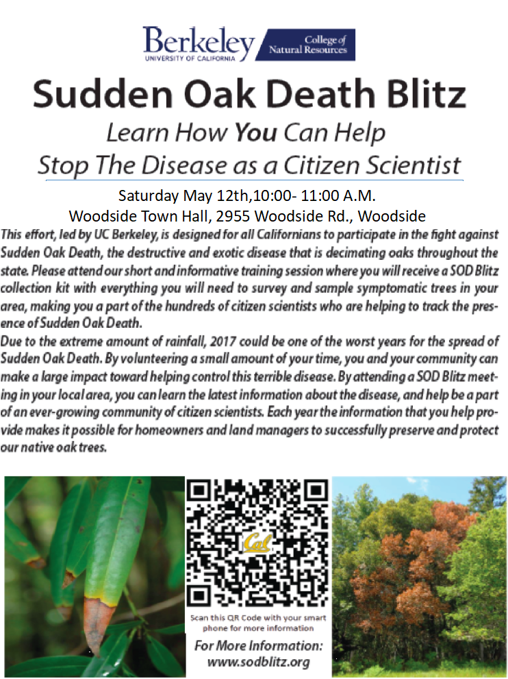 Sudden Oak Death Blitz Flyer - University Of California, Berkeley (850x1100), Png Download