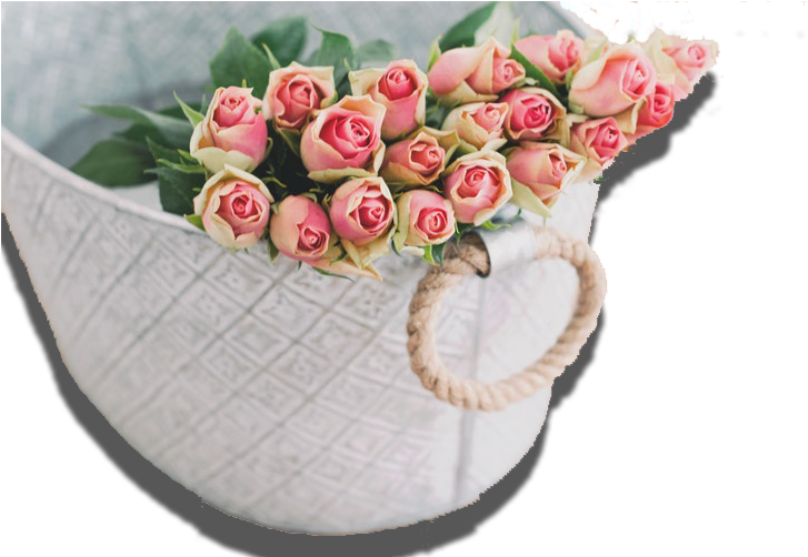 Slide2 - Pink Rose Flower Background Hd Rose (750x501), Png Download